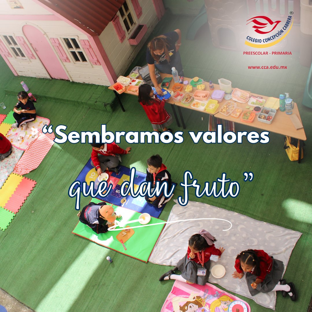 Colegio_CCA's tweet image. Porque sabemos que los valores aprendidos en la infancia son los que florecen a lo largo de la vida 🌸

💛 Formamos corazones íntegros, comprometidos y felices.
#ValoresCCA #PreescolarCCA #PrimariaCCA #FormamosConAmor #EducaciónIntegral #ColegioConcepciónCabrera #SoyCCA