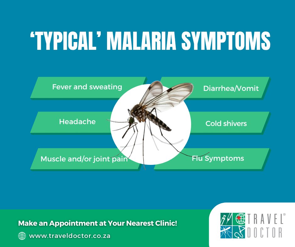 TrvlDoc's tweet photo. There are NO “typical” malaria symptoms. If you've been in a malaria area and develop any flu-like signs — fever, chills, headaches, vomiting or body pain — assume it’s malaria until proven otherwise.
Early treatment saves lives. Get tested immediately: https://t.co/rSUeb22DkN https://t.co/IQbNakopP1