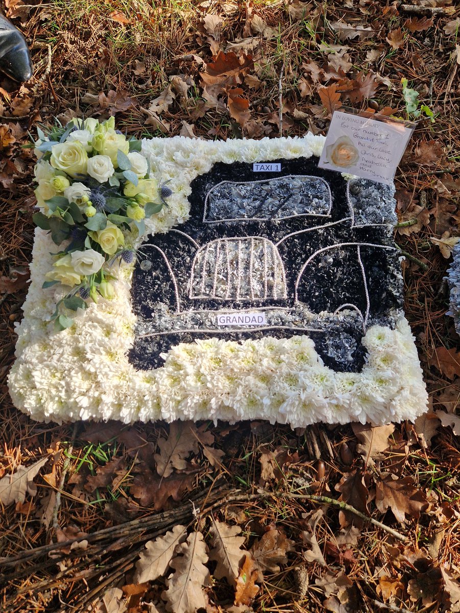 Steve the taxi tweet media