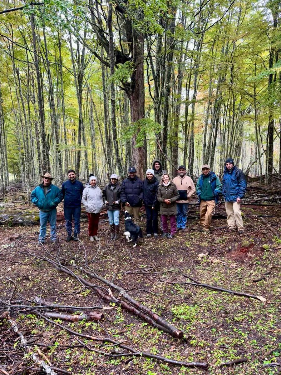 conaf_aysen's tweet photo. @Conaf_minagri @Conaf_Aysen
CONAF Provincial Coyhaique y el Depto. de Bosques y Cambio Climático participan en el Encuentro de Gobernanza del Proyecto BIOAYSÉN, fortaleciendo la gestión sostenible de los bosques nativos a través de la ordenación forestal.  #Aysén https://t.co/mjiqWg5LJ3