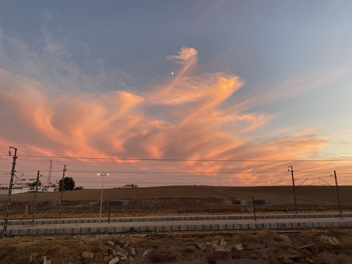 moadscore's tweet image. Alo