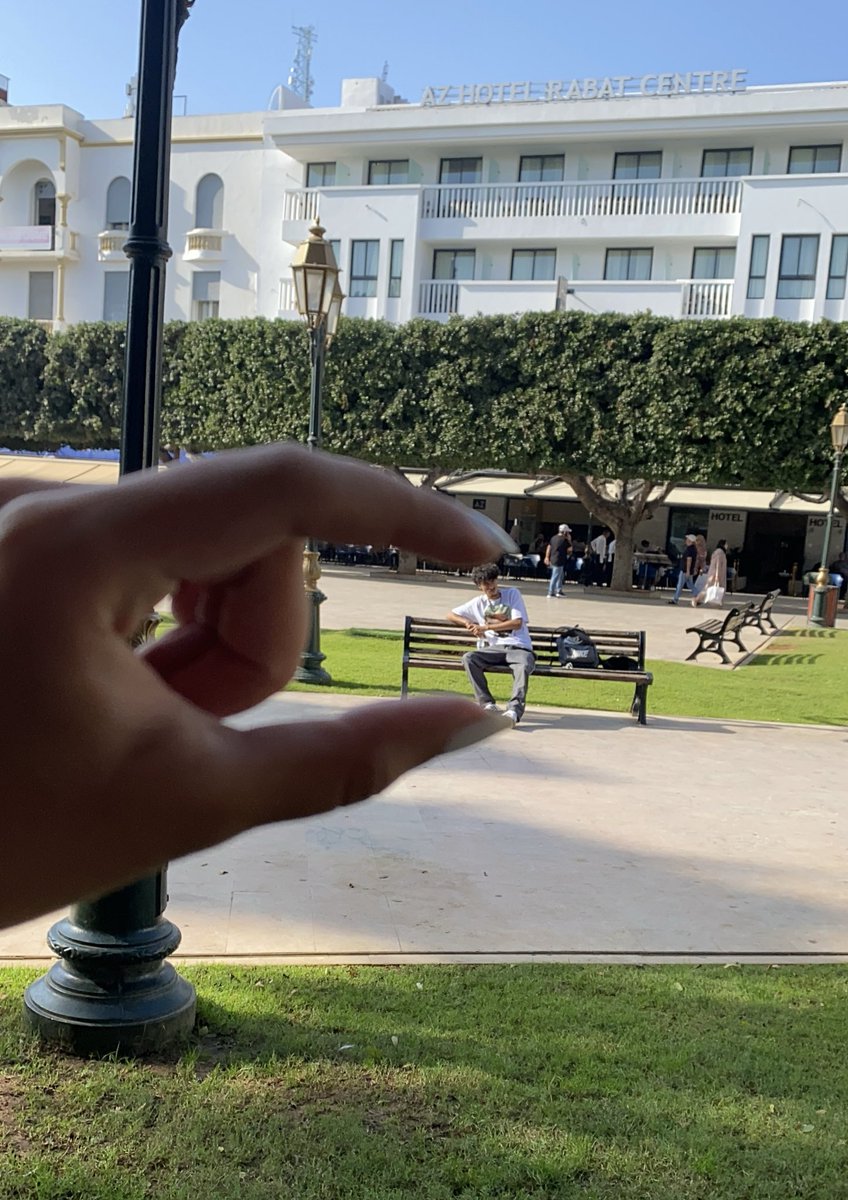 moadscore's tweet image. Alo