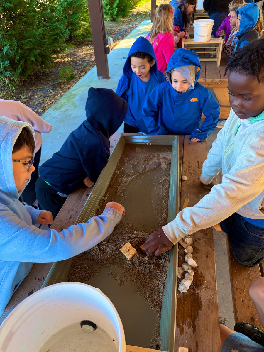 🌳 Today we completed our Erosion lessons at the School 6 Arboretum! 🐓 🐢  <a href="/OSchoolsPR/">Oceanside School District #OSD_NY</a> <a href="/OSchool4/">School 4</a>