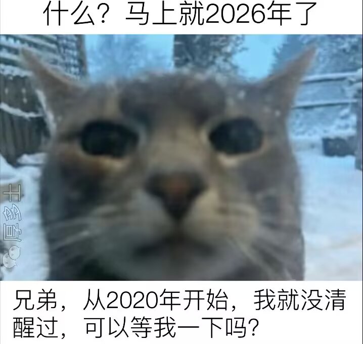 局外猫 (@fortheicecream) on Twitter photo 