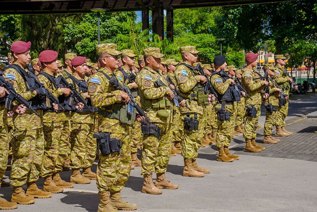 Comando Olivo tweet media