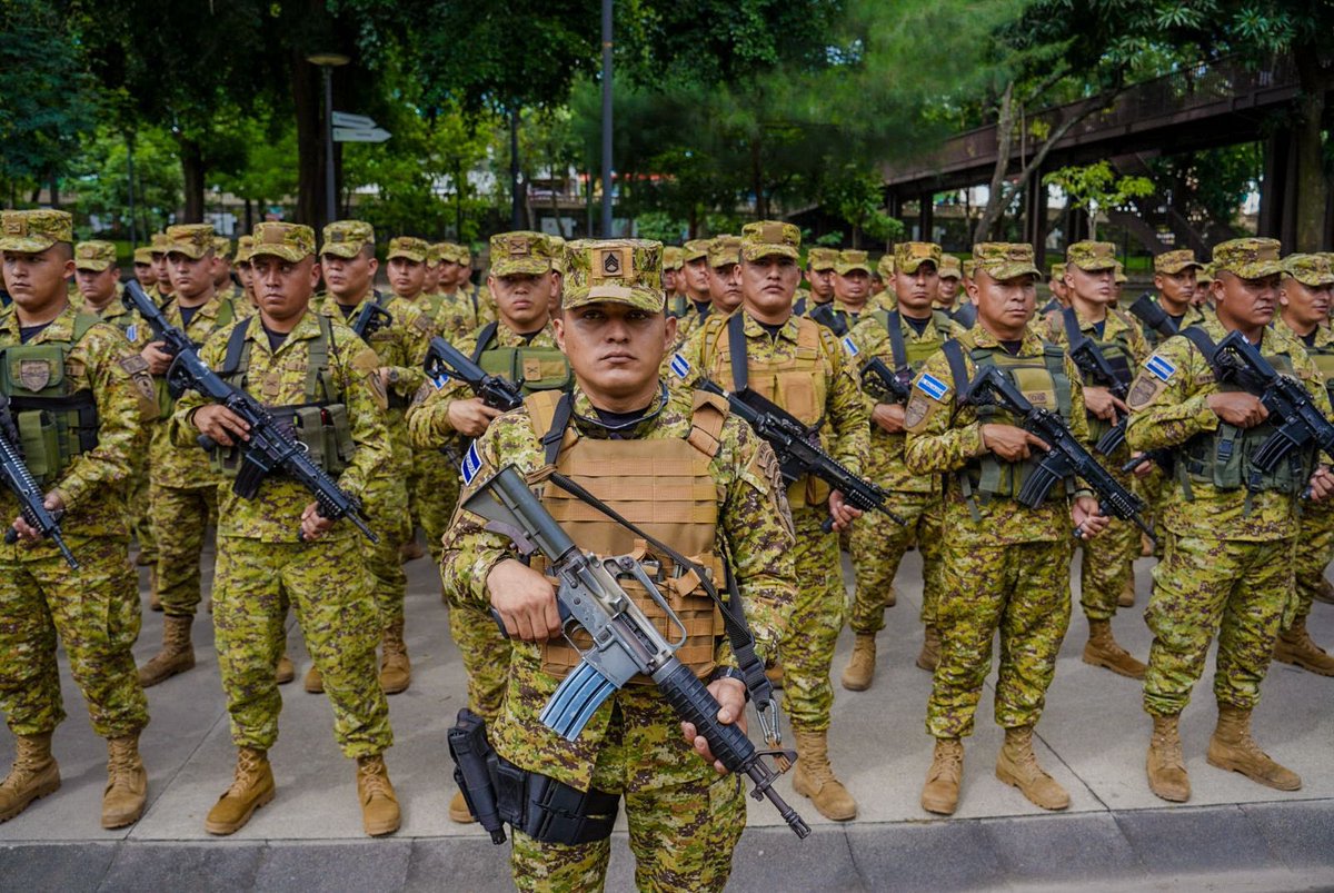 Comando Olivo tweet media