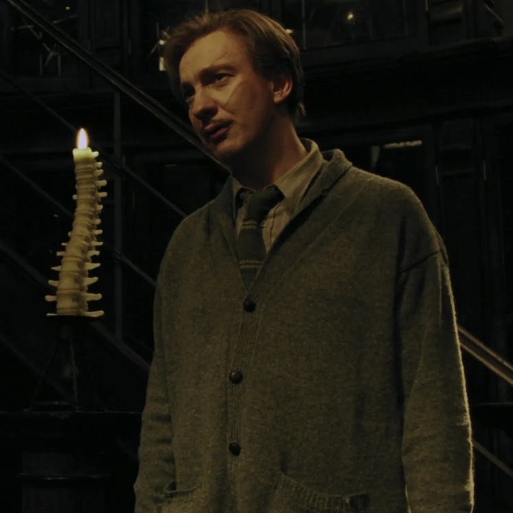 lycanlupins's tweet photo. oh remus my remus https://t.co/4JDRXJfEj8