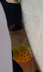 THEGOOSEISGOOD tweet media
