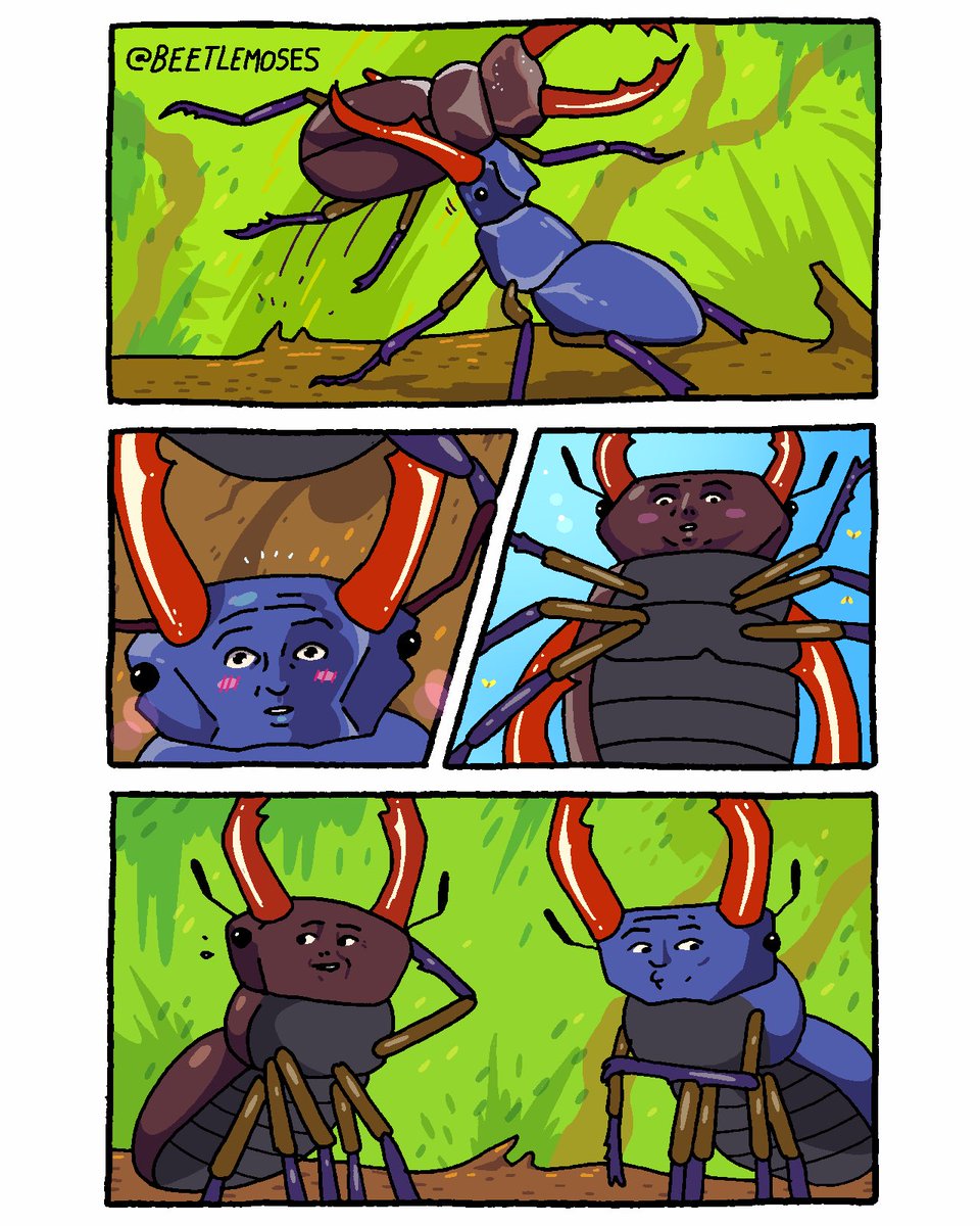 beetle moses (@beetlemoses) on Twitter photo 