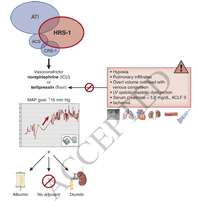RafaelLpezMrqu2's tweet photo. Treating Hepatorenal Syndrome in the Current Era JASN 2025. 
✅"Utilizing POCUS, a study found that up to two-thirds of patients with presumed HRS may actually be either normovolemic or hypervolemic"
✅rates of HRS-1 reversal Terlipressin vs NE
https://t.co/uI9z5ECKbj. https://t.co/CjGzSM57OU
