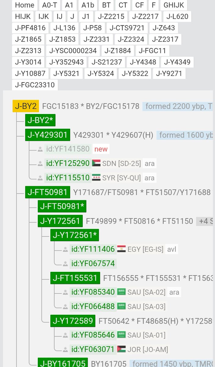 d3a3eek's tweet image. ظهور نتيجة المحمداب الجعليين على التحور Y429301 المتفرع من by2 بعد دخولها لموقع الواي فل 
x.com/d3a3eek/status…