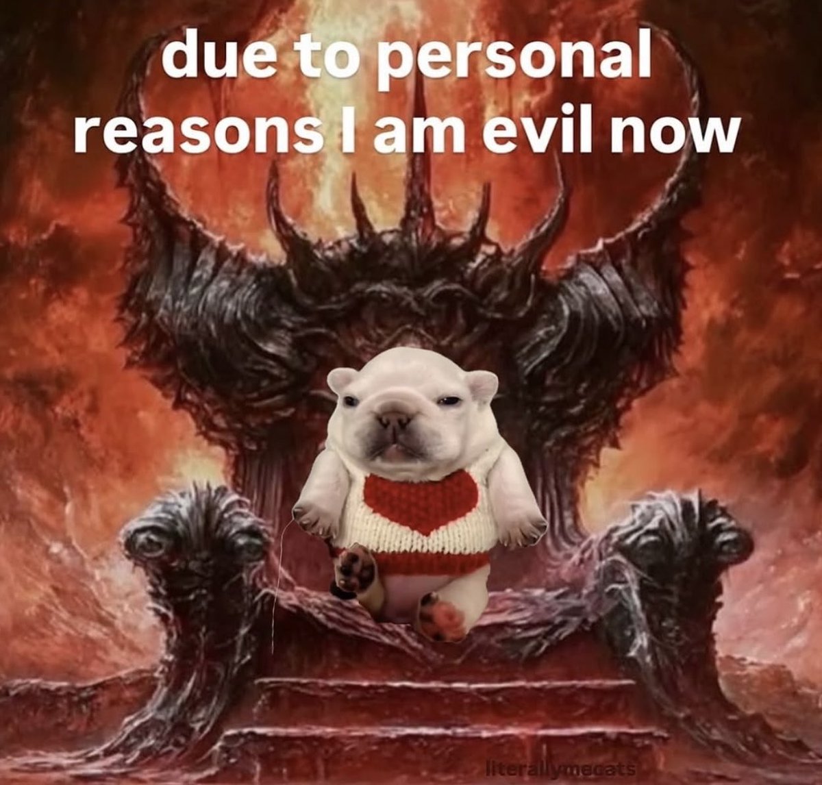 Kelly R. tweet media