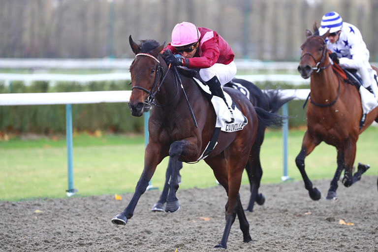 lefebvrefabien1's tweet photo. 🌟WINNER 🏆🌟 on Thursday at Deauville🇫🇷:

- 🥇 #MadameLy🐎
- 5️⃣ #Alerio🐎

Photo: @AprhChantilly 

Agents:

Lisa Pauwels🇧🇪
@Benjhub🇫🇷 https://t.co/eCaG0mKQNq