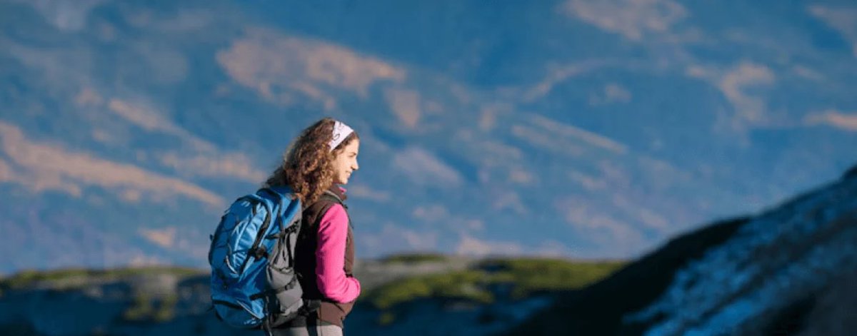 ArmaSkin tweet media