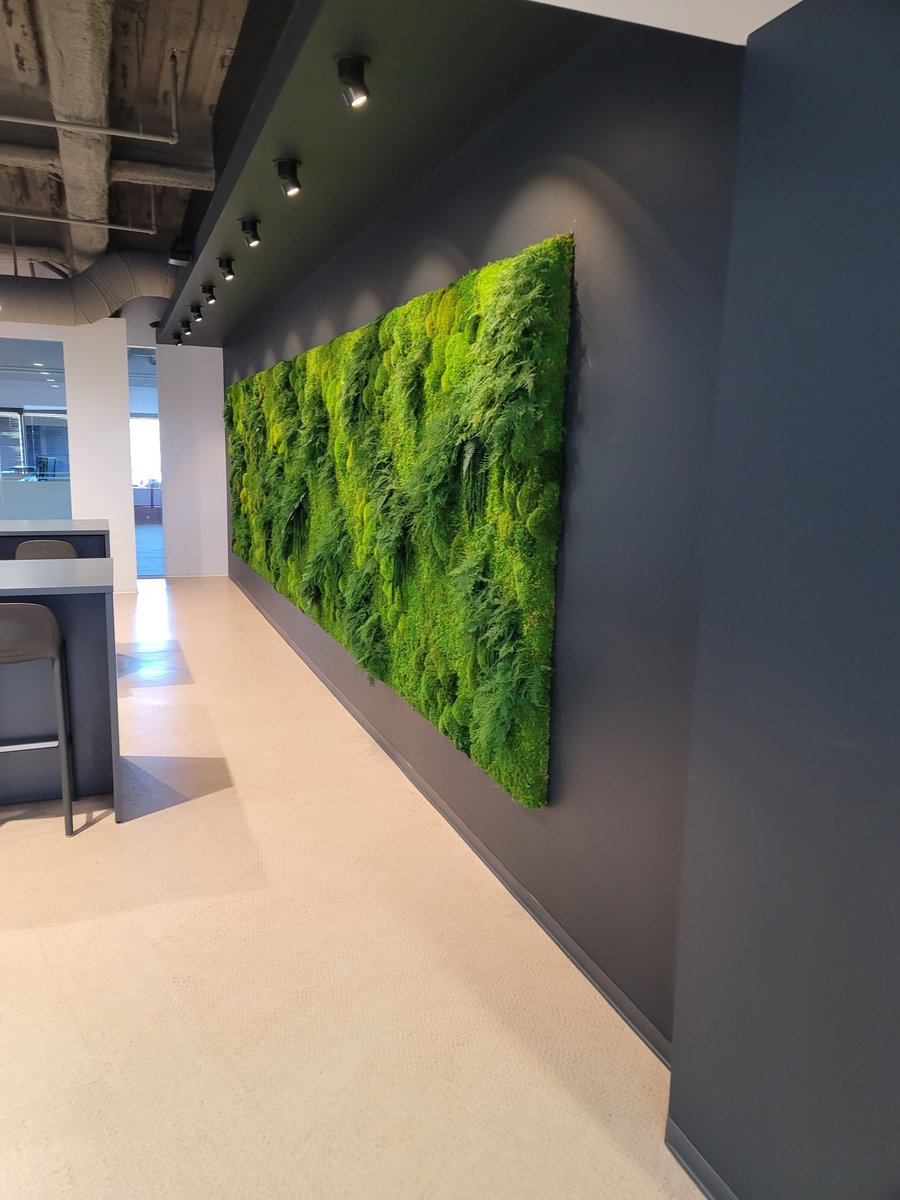 Artisan Moss tweet media
