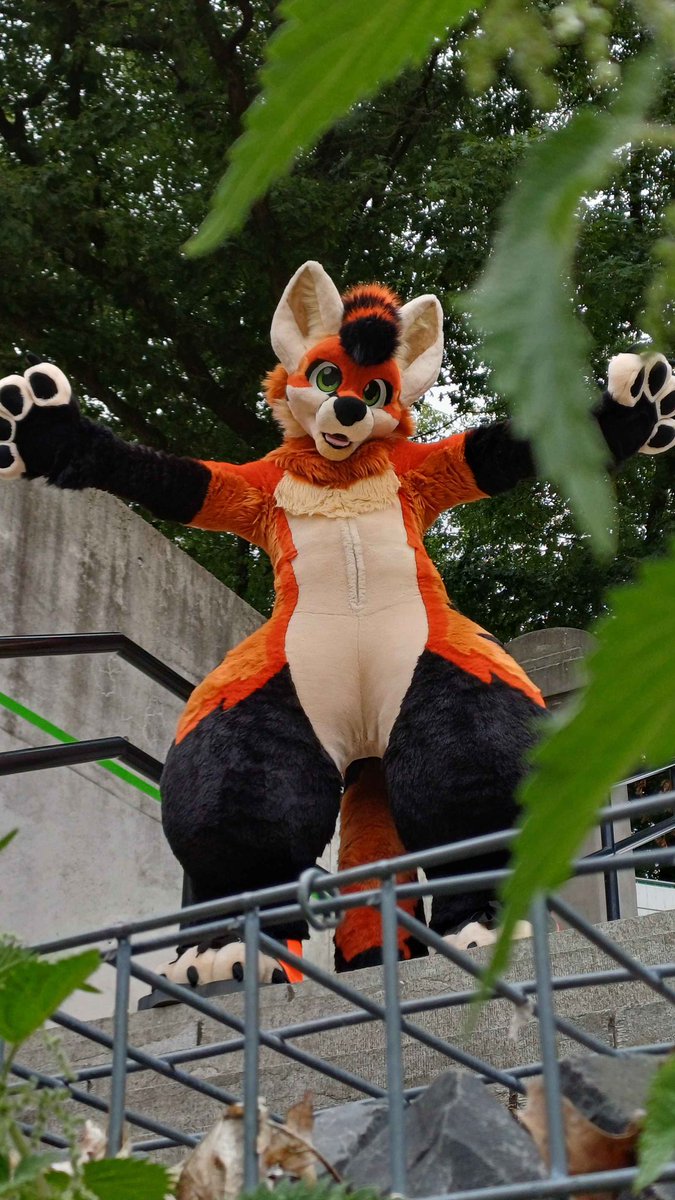 Happy #fursuitFriday everyone

The big fox is clearly in a happy mood :3