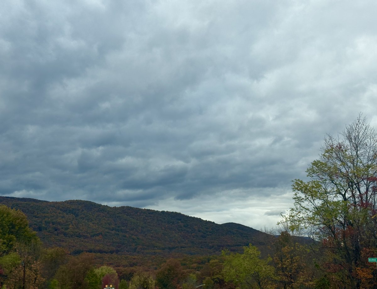 mouthy_mom_'s tweet image. Full on fall in Appalachia, tminus two weeks til winter lol.