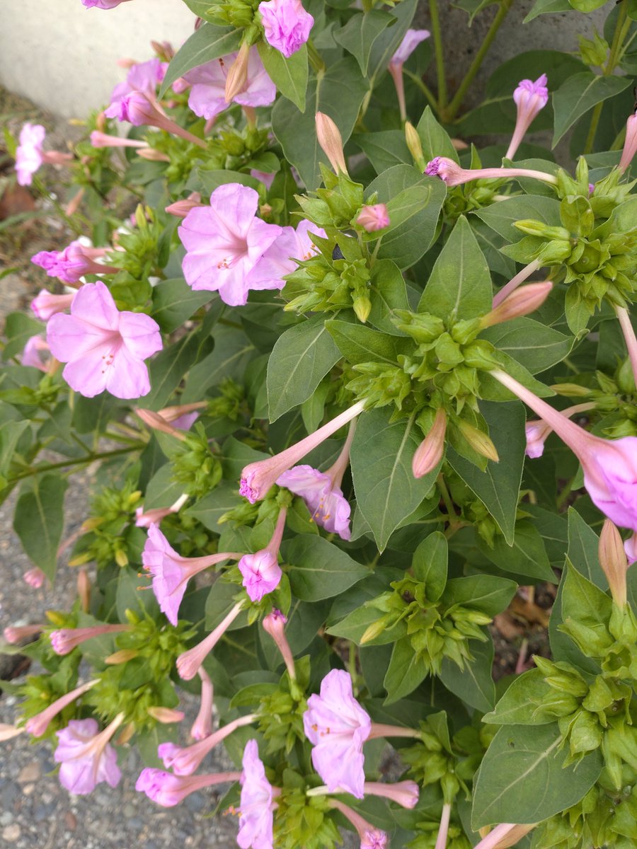 みっちゃん❣️ みっちゃん (@mi.zx4r.ch) • Instagram photos and videos