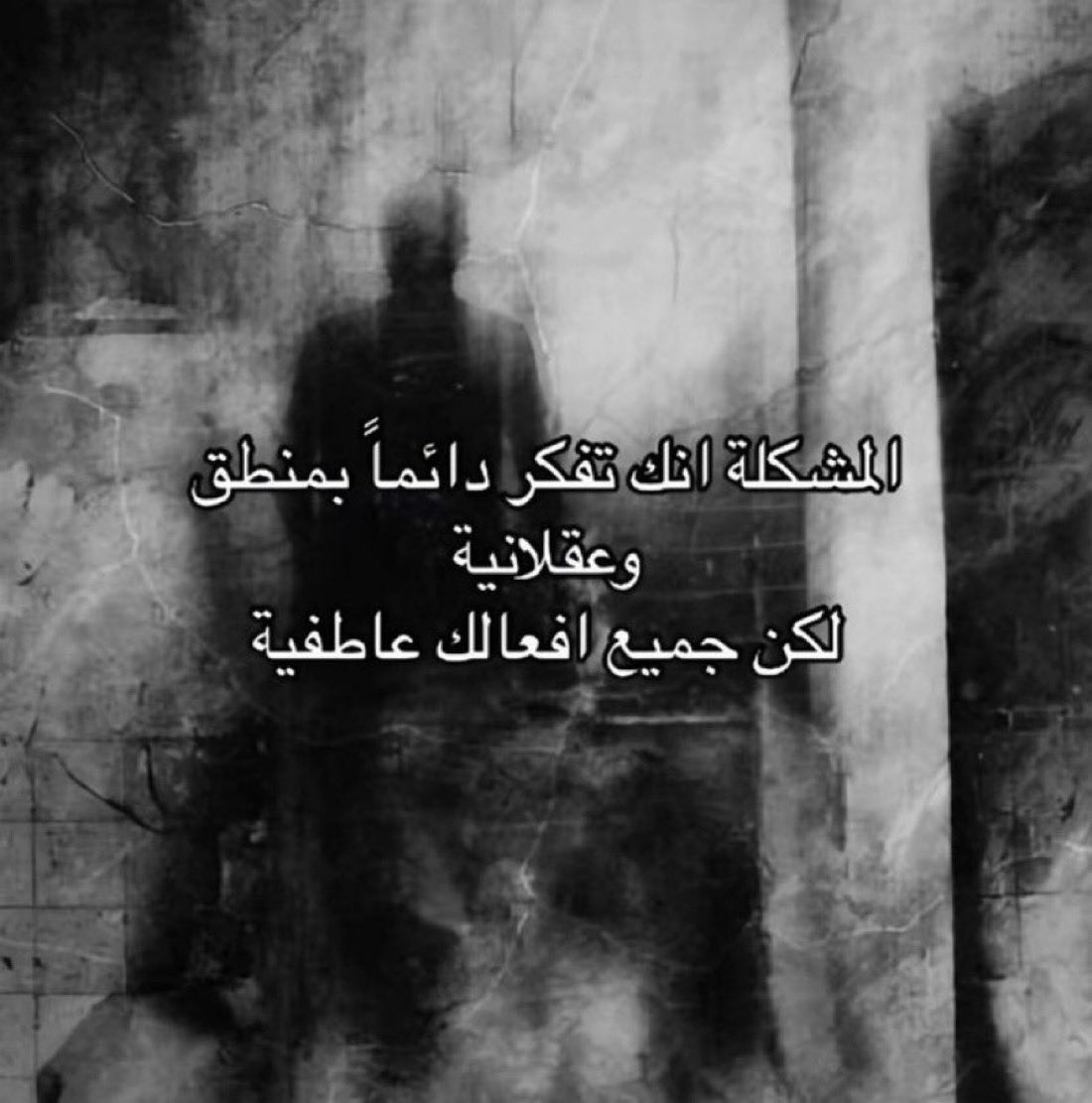 _Hajes_'s tweet photo. https://t.co/IEj4uyAhC7