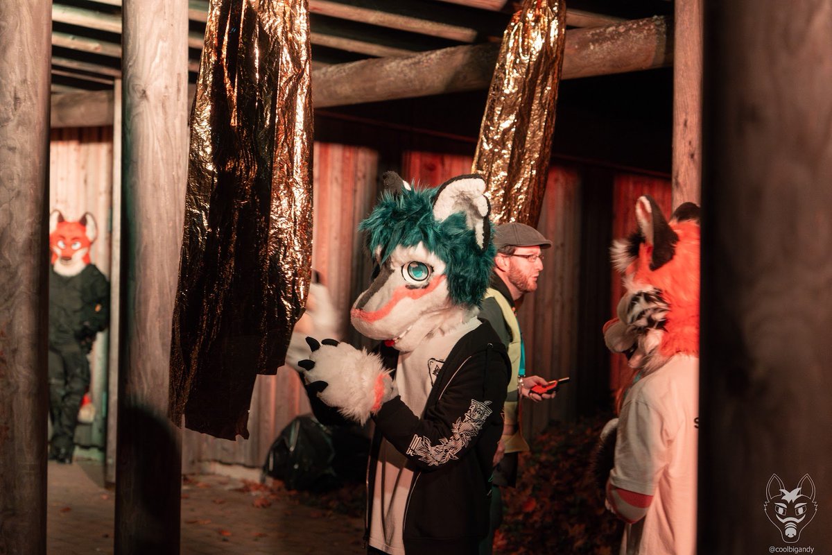 How to stunlock a shark - dangle something in front of him :3c