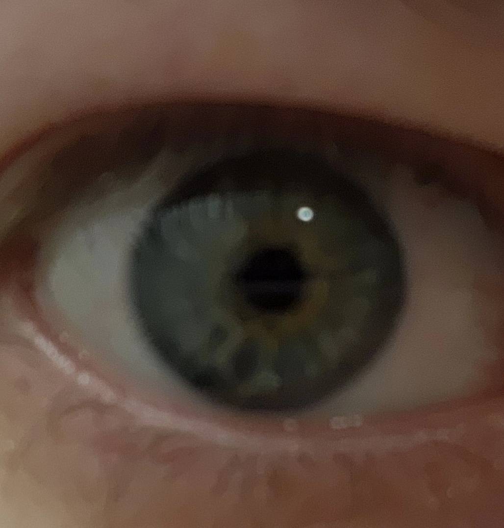 Koebra_VT's tweet image. Someone told me I have pretty eyes today and I'm going to live off that compliment for years

 Vtuber vs irl ~ eye edition