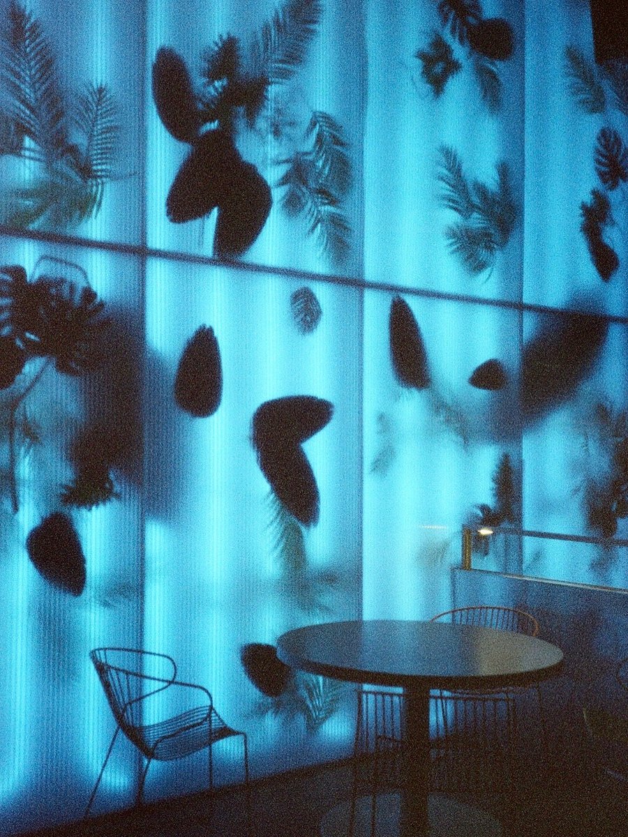 film photos I took on tuesday during <a href="/abigailcarlson_/">𝖆𝖇𝖎𝖌𝖆𝖎𝖑 𝖈𝖆𝖗𝖑𝖘𝖔𝖓</a>’s book club that I like: