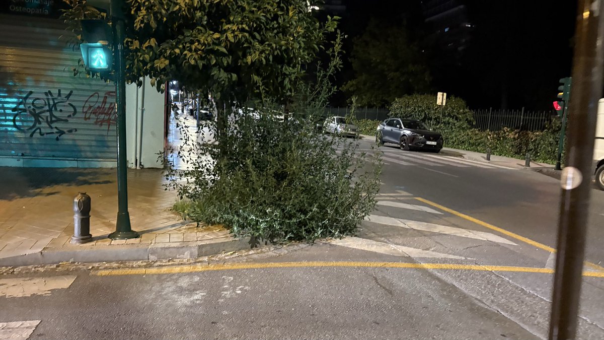 Esta hierba ya mismo está más grande que el naranjo. Es lamentable el estado de conservación de los árboles en la C/Rector Marín Ocete. <a href="/AyuntamientoGR/">AyuntamientoGranada</a> Por esa calle pasa mucha gente que viene de la estación de trenes, una primera impresión muy bonita <a href="/SosGranada/">SOSGranada</a> <a href="/granadadigital/">GranadaDigital</a>