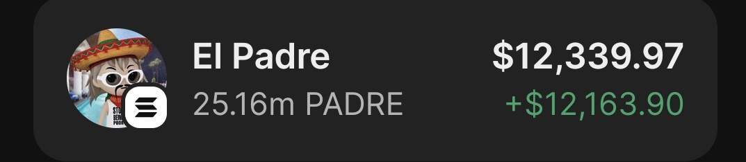 $Padre is printing massive on my private telegram channel 
Absolutely tearing up the chart 📈 
#SolanaAirdrop