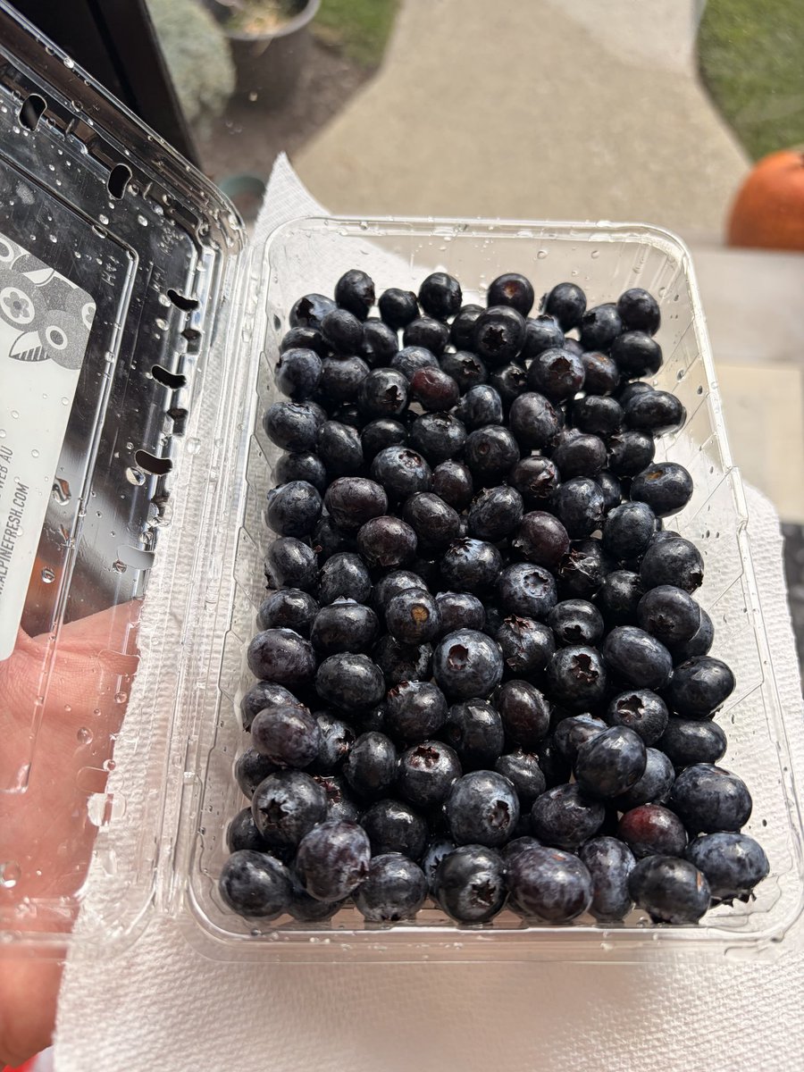john__roma's tweet photo. #fruitposting https://t.co/yFHLHLMB9Y