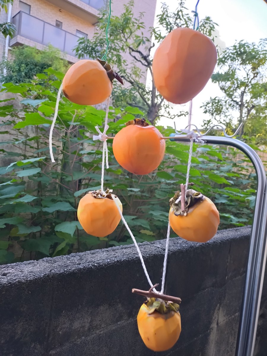 🐟fishman🐟 (@aoyan1207) / Posts / X