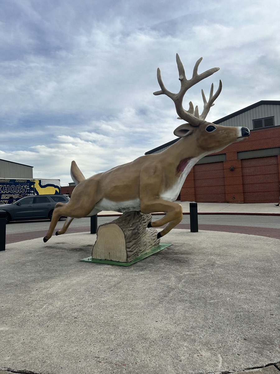 Friday night lights <a href="/Bucks_Football1/">Buckhorn Football</a> vs <a href="/CullmanFB/">Cullman Football</a> the bucks will be wearing <a href="/PlayerData/">PlayerData</a> tonight!!!!!
#NeveraDoubt
#PlayerDataGameNight
<a href="/BenSlingerland/">Ben Slingerland</a> <a href="/ryanmllr107/">Ryan Miller</a>