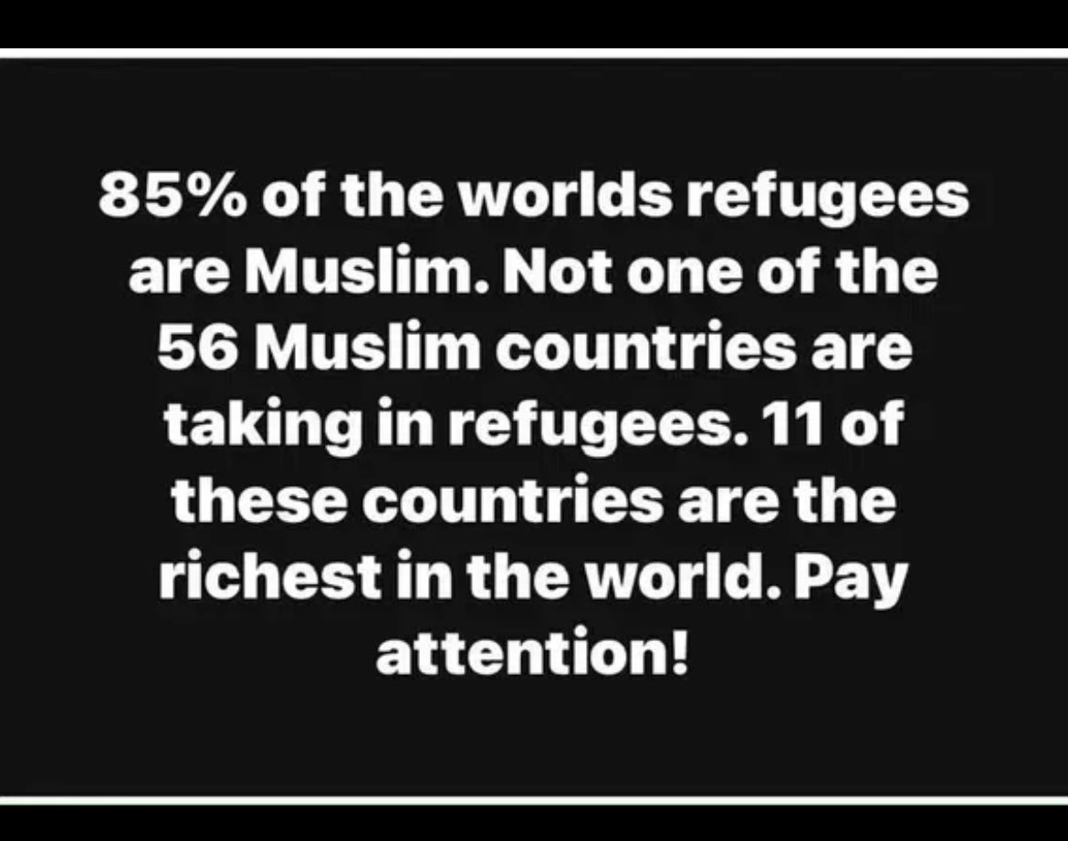 MaggiHaglund's tweet image. 