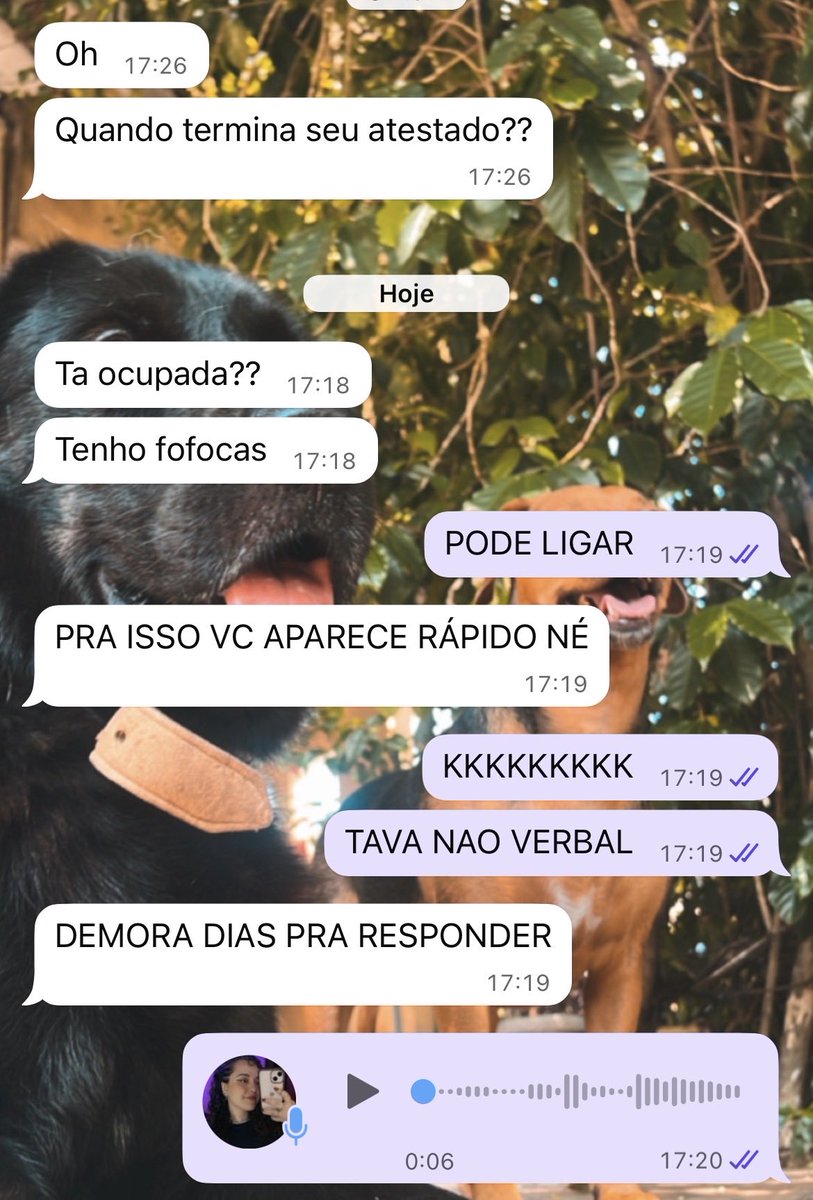 tiamarilol's tweet image. tutorial básico de como me fazer responder no whatsapp