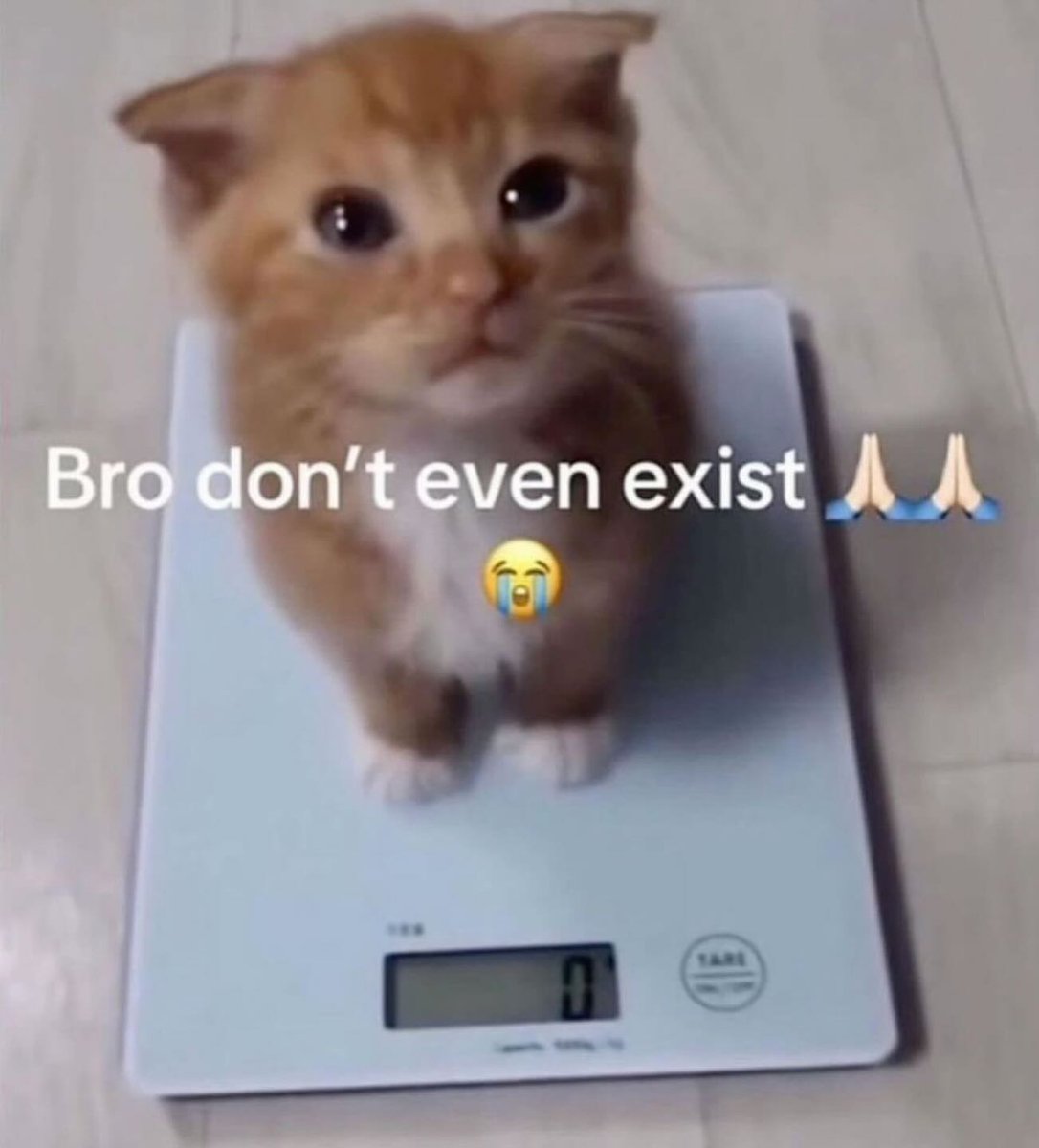 PunchingCat's tweet image.
