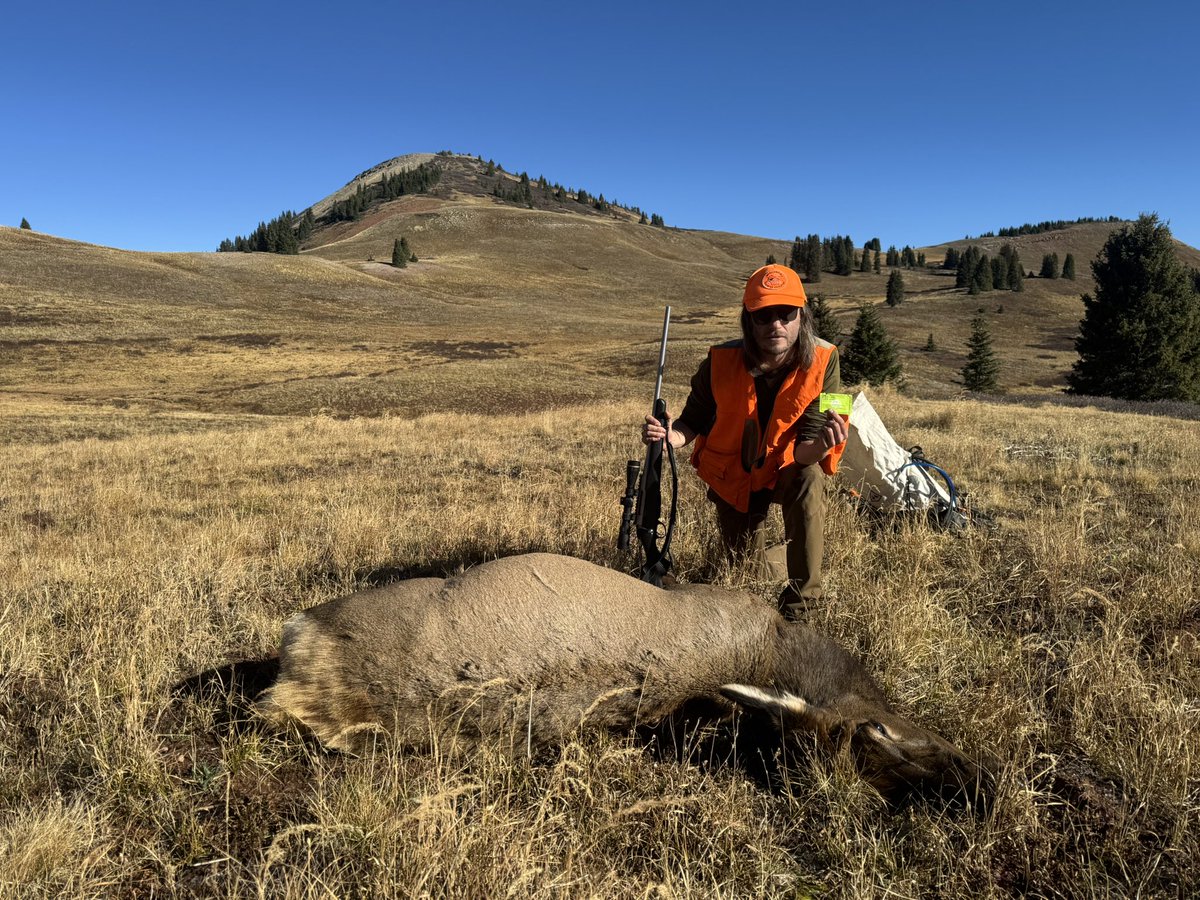 bradycsnow's tweet photo. An Offering from the Land - I harvested an elk and learned about letting go and receiving and now her spirit is with me

Full story : https://t.co/hT8lRrkaa4 https://t.co/7LIeHoXgee