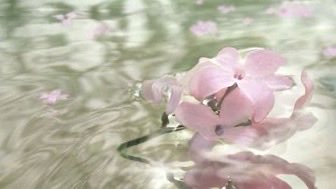 ThinkFloating's tweet image. 