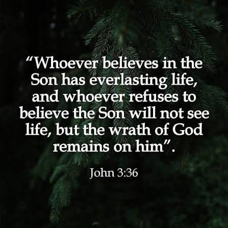 LetsGoBrando45's tweet photo. Just a friendly reminder, we are in the dispensation where everyone goes to hell if they reject Jesus.

jews included. 

This dispensation lasts from now until the end of time. 

I hope that clears things up theologically for everyone!  👍

It’s this simple. 🎯 https://t.co/SLg4z6buab