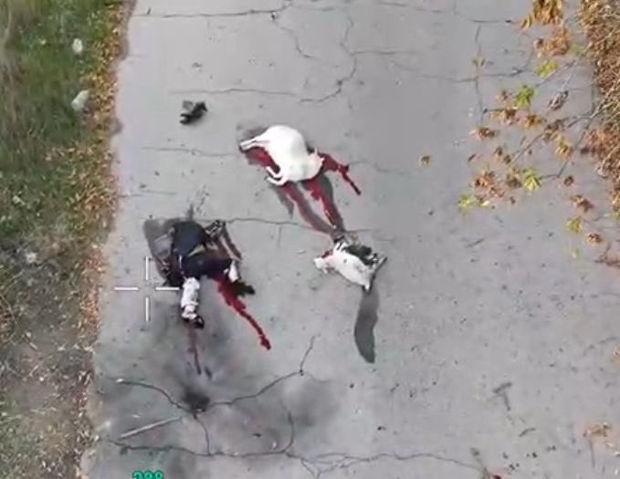 AryoSomeGumul's tweet image. W Chersoniu była 80-letnia emerytka, która już niczego praktycznie nie miała oprócz kóz. Wyprowadzała te kozy i pilnowała ich. Rosjanie zabili ją z drona.

Nie ma mowy o pomyłce. Operator wiedział co robi