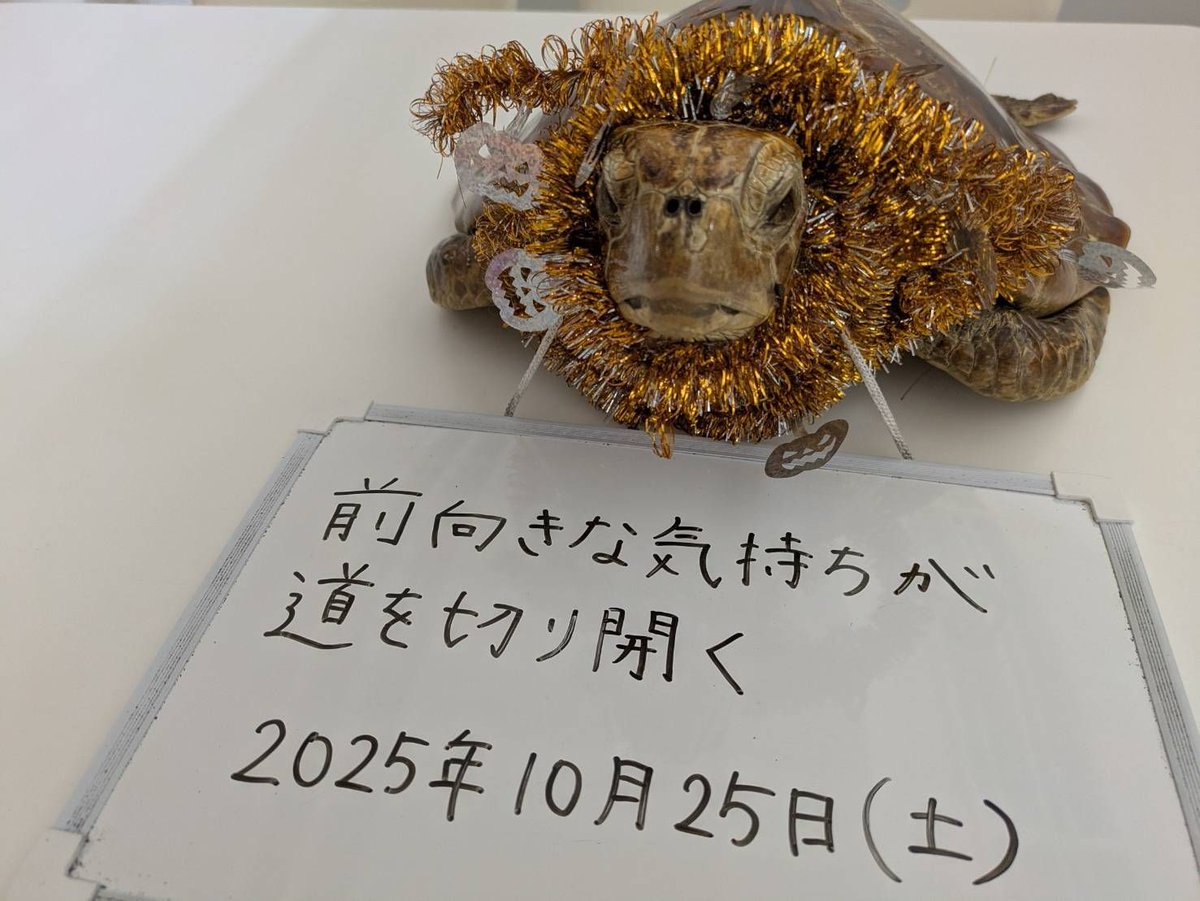 oneday_1kame's tweet image. .
A positive spirit paves the way 
.
#PositiveMindset
#PaveYourPath
#StayOptimistic
#MoveForwardWithHope
#fyp
#前向きな心が道を開く
#ポジティブに進もう
#心が未来を切り拓く
#前を向いて歩こう
#おすすめにのりたい