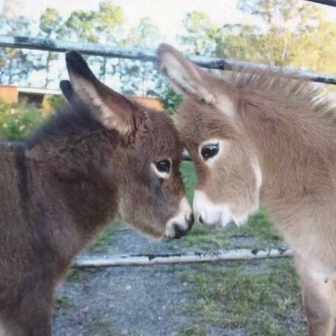 smart moron tweet media