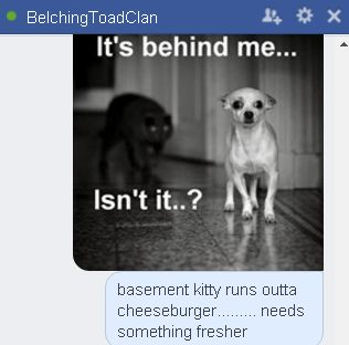 MichaelLBelcher's tweet image. In just 7 days, Basement Cat will rise from the ashes once again to battle Ceiling Cat for Earths existence.

#BelchingToadProductions #DrivingAroundtheWorldandtheUniverse  #cat #cats #kittens #kitten #catmemes #caturday #catsofinstagram #CatsOnTwitter #halloween #spooky