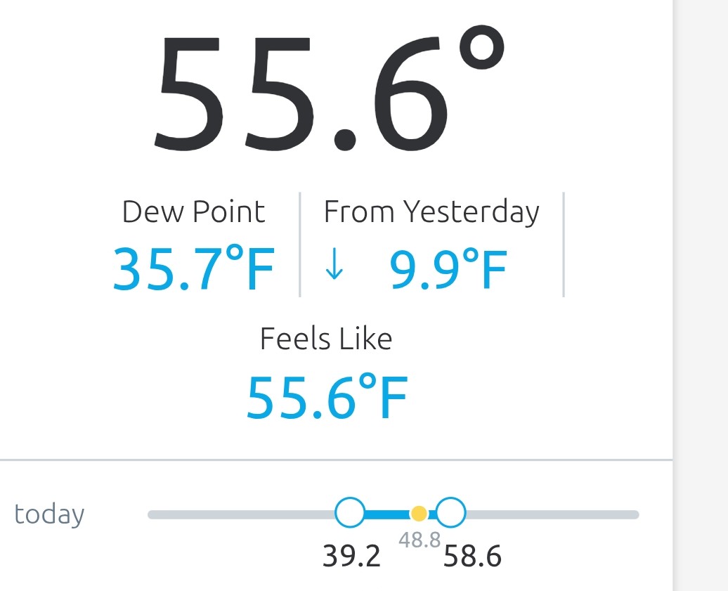 This weather is a landscapers dream