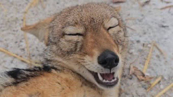 NotHayloftVEVO's tweet image. It’s Friday I’m in love!!!!