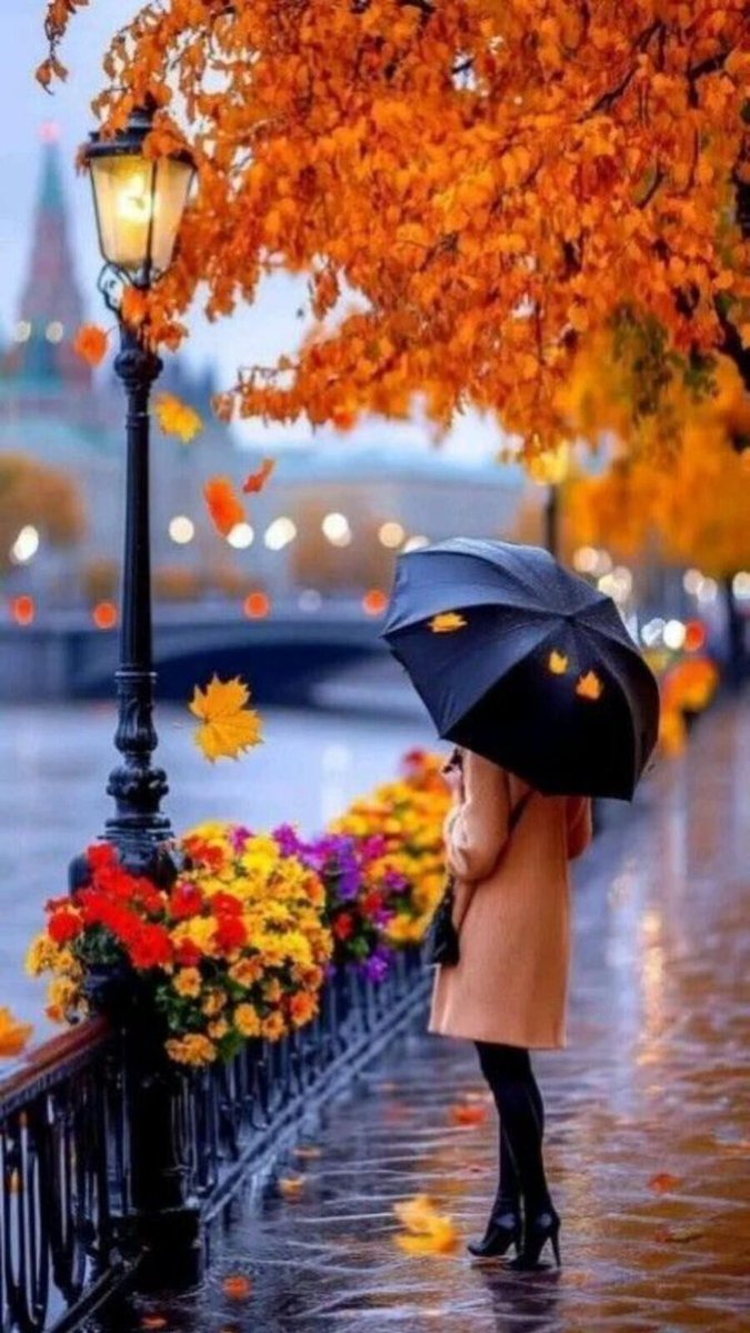 Bazen ,
Bir sonraki sefer yoktur...
#hayatişte
Anlar anılara insanlar ise derslere dönüşür.
#mutluhaftasonlarıolsun 🌿🍁☘