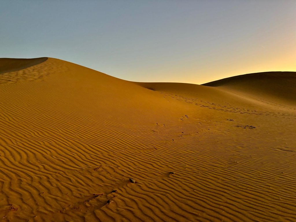 Anton Muscatelli tweet media