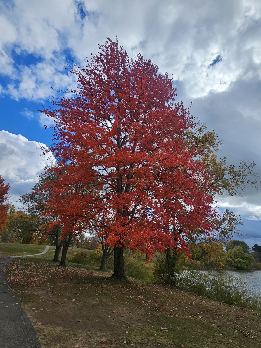 pass_ev's tweet image. 