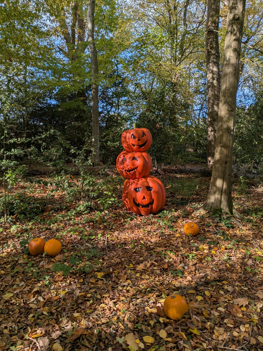The best day again at Paultons Park!!I don't want to go anywhere else! But how many pumpkins?? !!! And how much time did it take you to put them all out?? Pumpkins everywhere 🤣Looked absolutely amazing!! 🤩 <a href="/PaultonsPark/">Paultons Theme Park</a>