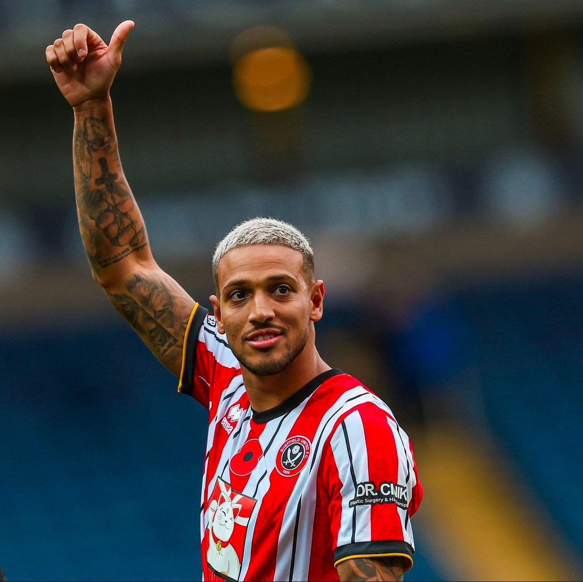 AlexanderSUFC's tweet image. I miss you 
#sufc #twitterblades