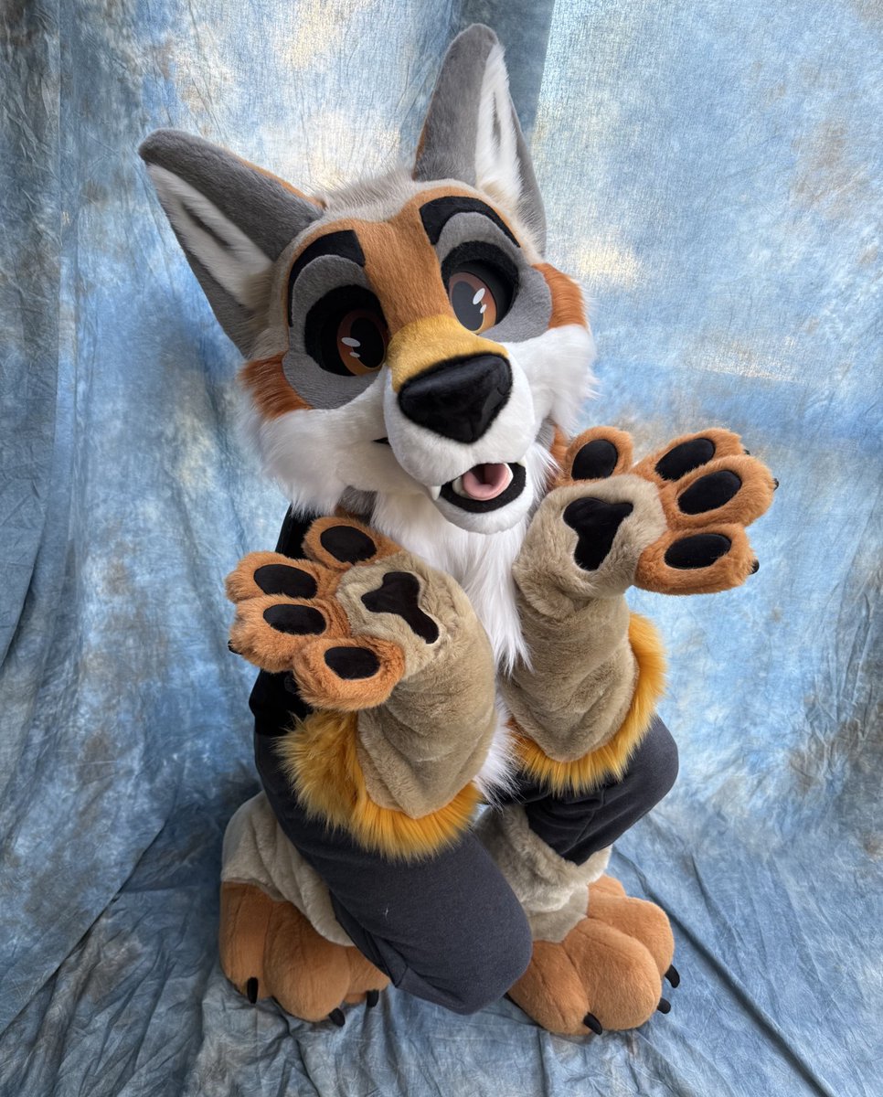 BlueHarborC's tweet image. Welcome to the family…
Acer Coyote 🍂🍁🍃
#fursuitfriday