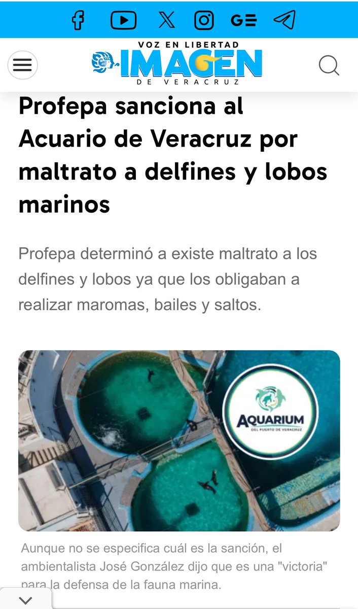 MaTere_Mendoza's tweet photo. El Acuario de Veracruz estaba a cargo de un patronato, desde que inició, había biólogos marinos y gente preparada y capacitada para el cuidado de las especies marinas, hasta que a Cuitláhuac García se le ocurrió la “brillante” idea de que pasara a manos del gobierno, y todo se vino a abajo. 
Pero ¿nos sorprende? 
Pues no, porque todo lo que cae en manos de la 4T, lo vuelven 💩 
Una remodelación mal hecha, con gasto público no comprobado, y especies en un ambiente sucio y sin condiciones adecuadas. 
También los manatíes están en agua muy sucia.